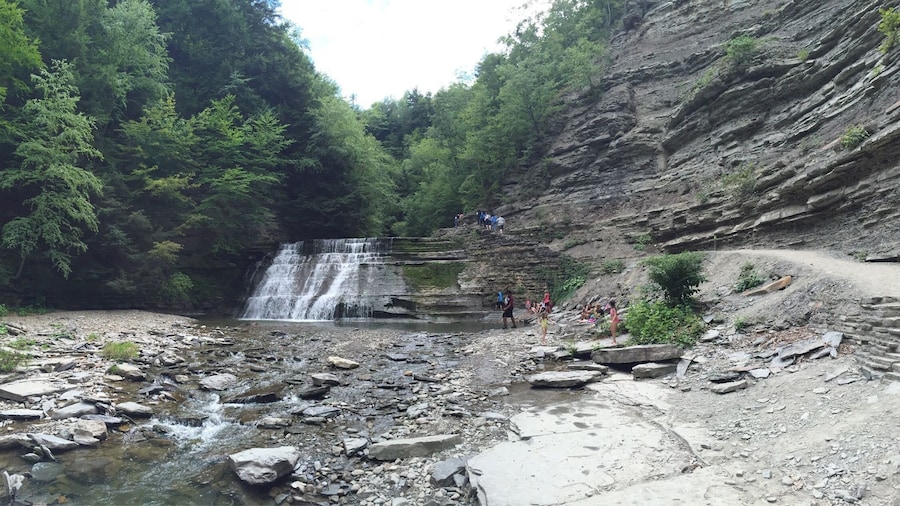 Splashing through the creek