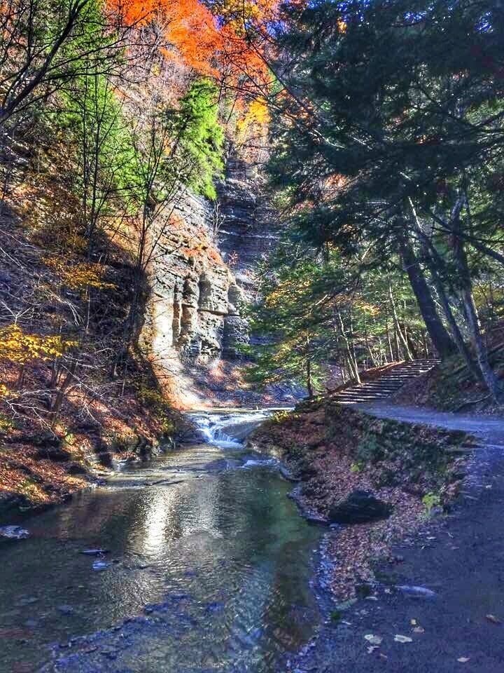 Always remember to take a look back every once in a while! Snagged this shot while hiking the gorge trail and just so happened to look at where we had just been. 