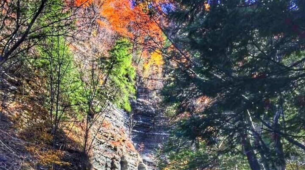 Always remember to take a look back every once in a while! Snagged this shot while hiking the gorge trail and just so happened to look at where we had just been.
