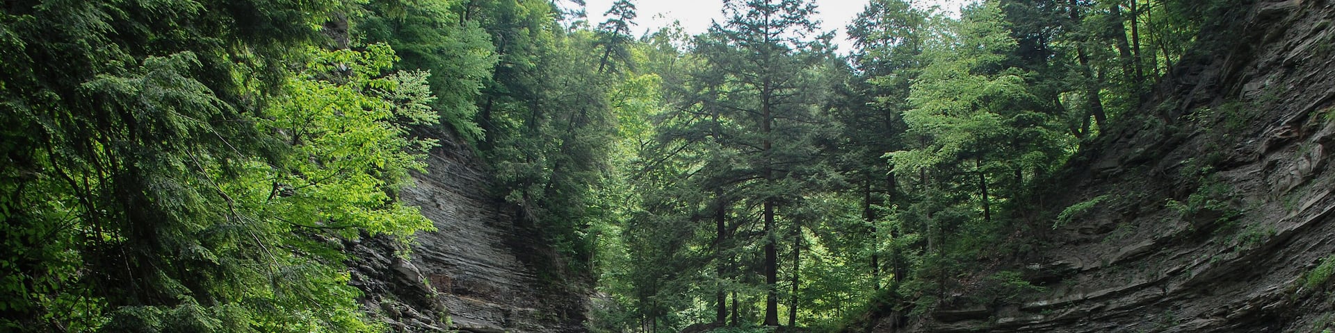 A waterfall cascading into a river surrounded by dense forest and rocky cliffs.