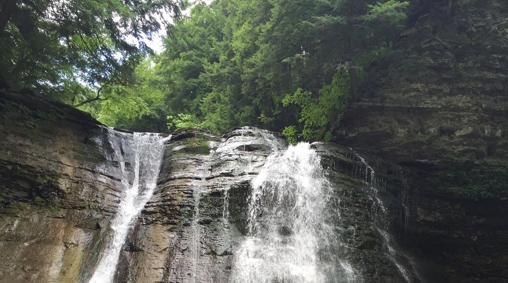 August 2016 during the drought