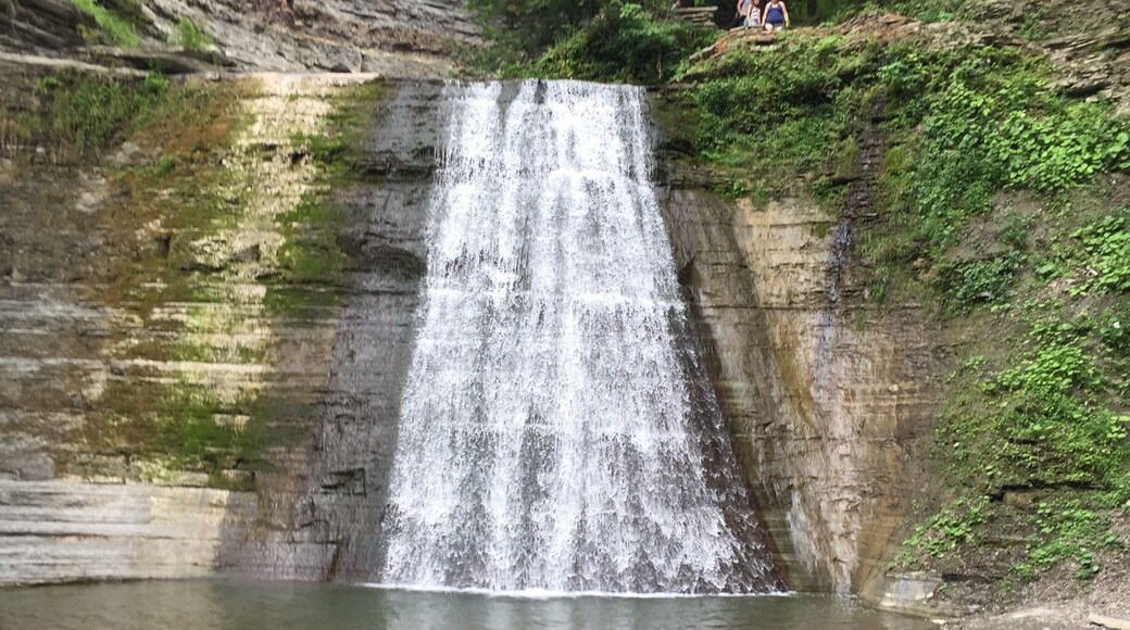 August 2016 during level 3 drought