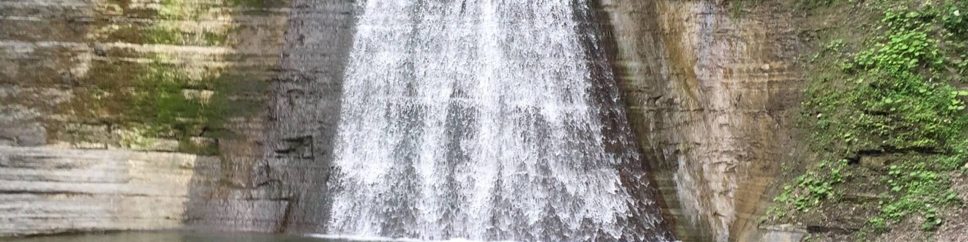 A waterfall cascading down a rocky cliff into a shallow pool surrounded by greenery.