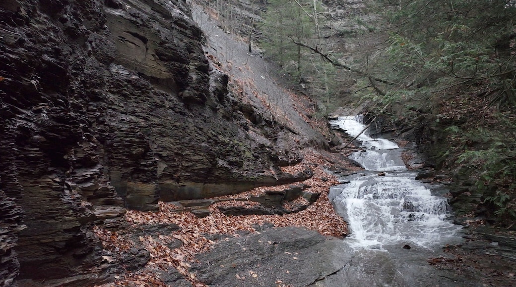 Área natural Conklin Gully