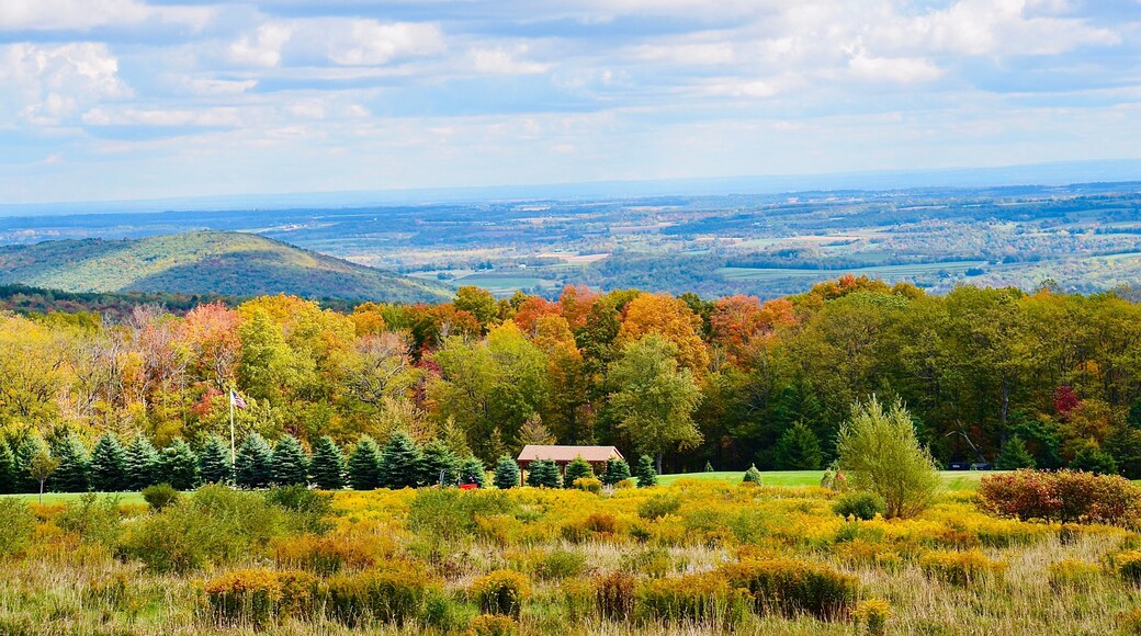 Autumn landscape in the mountains, view from the Ontario County Park at Gannett Hill, New York