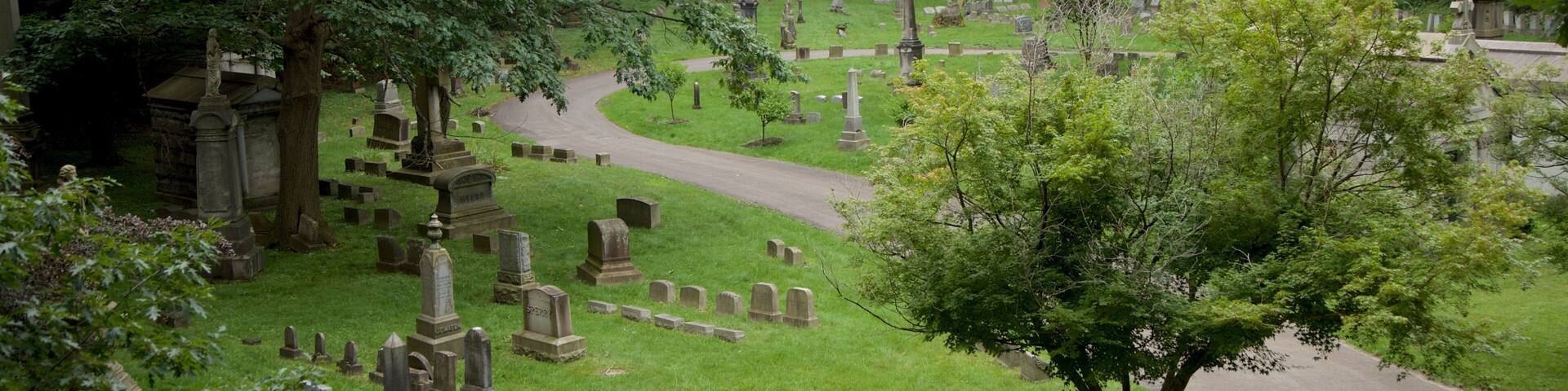 Mount Hope Cemetery showing a cemetery