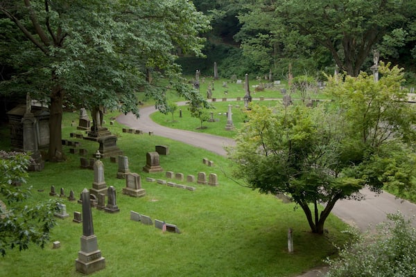 Mount Hope Cemetery showing a cemetery