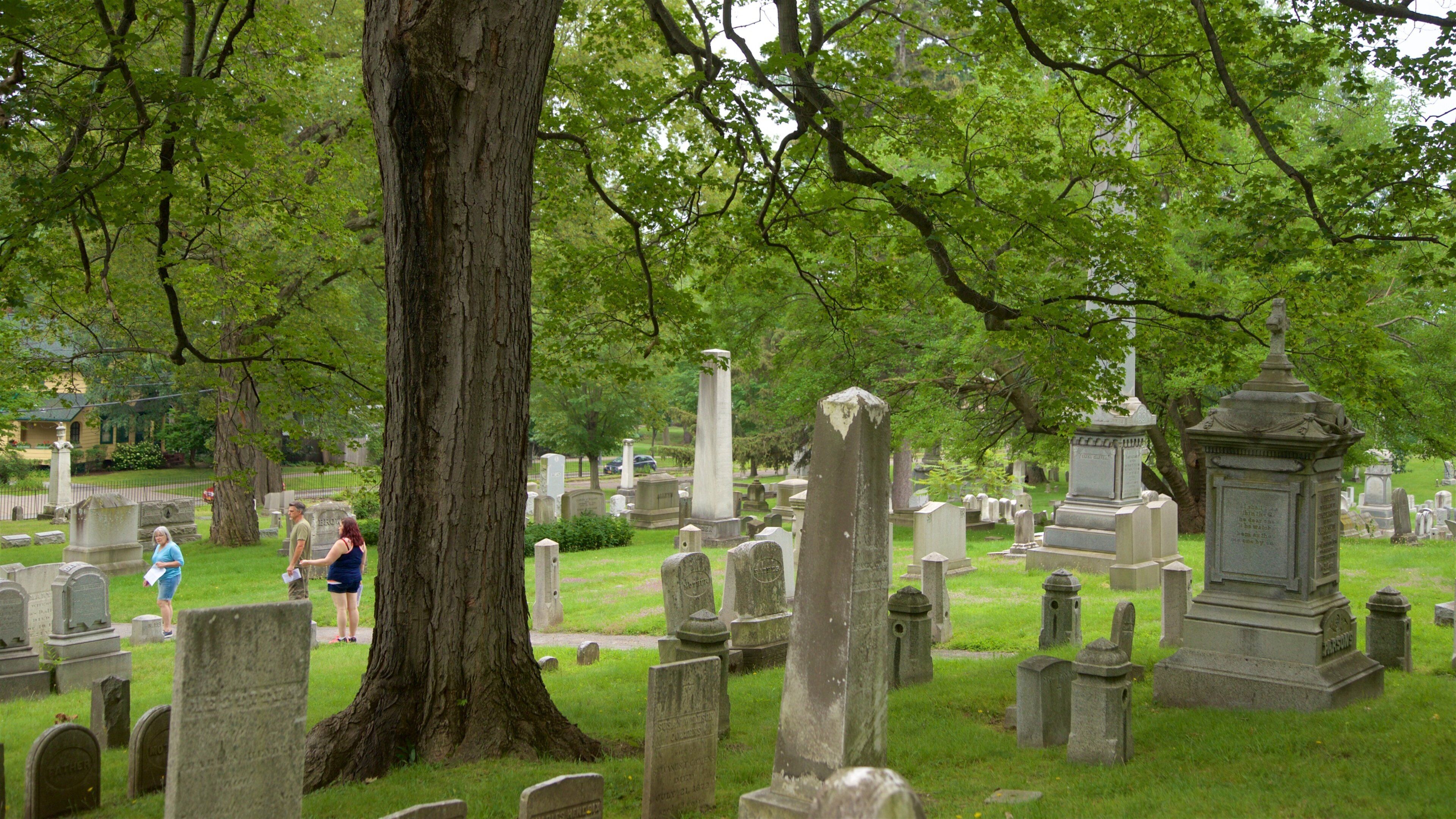 Mount Hope Cemetery which includes a cemetery as well as a family