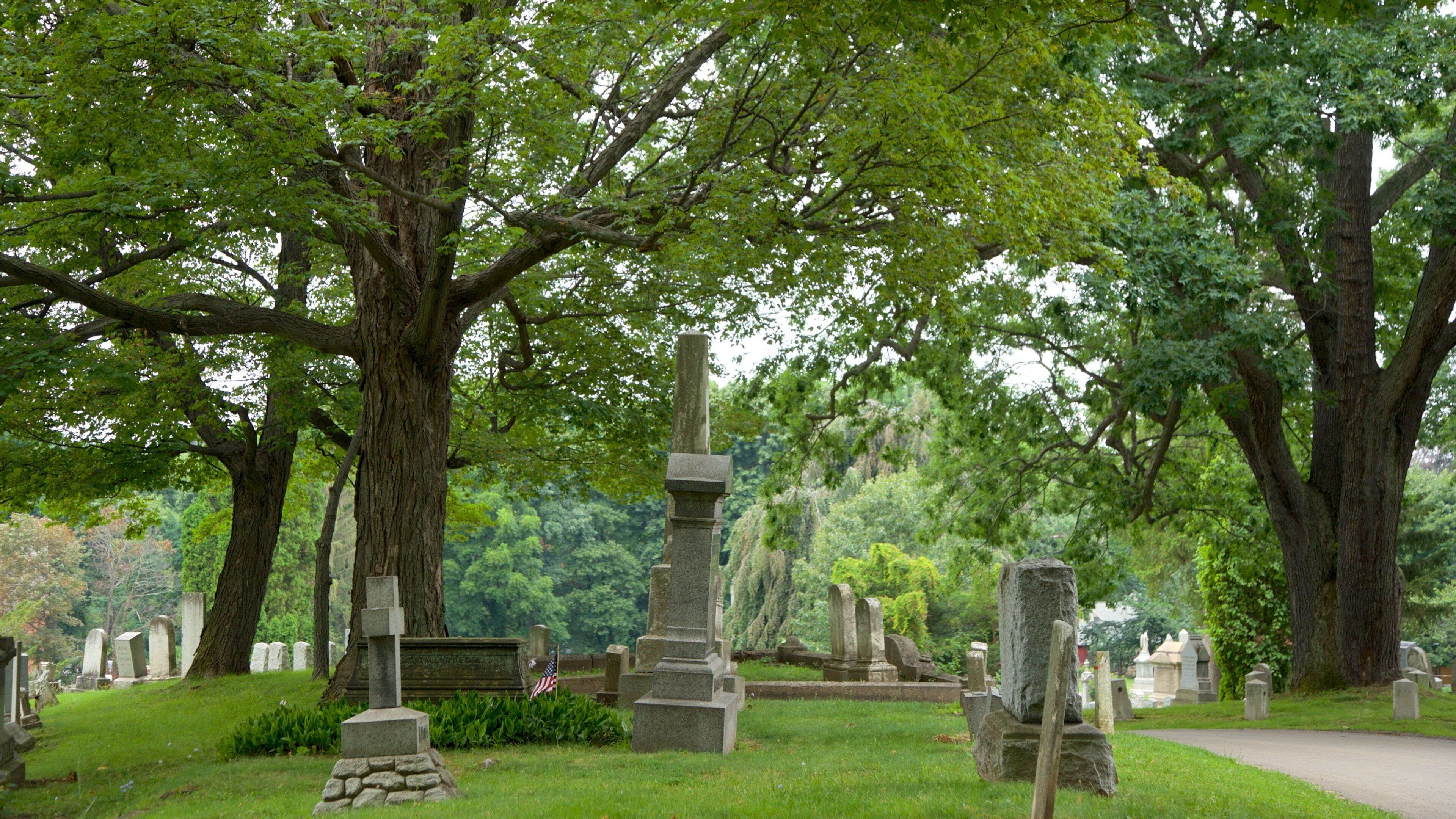 Mount Hope Cemetery featuring a cemetery