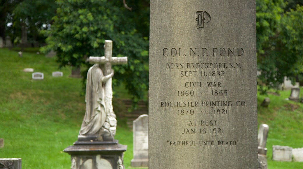 Mount Hope Cemetery showing a cemetery