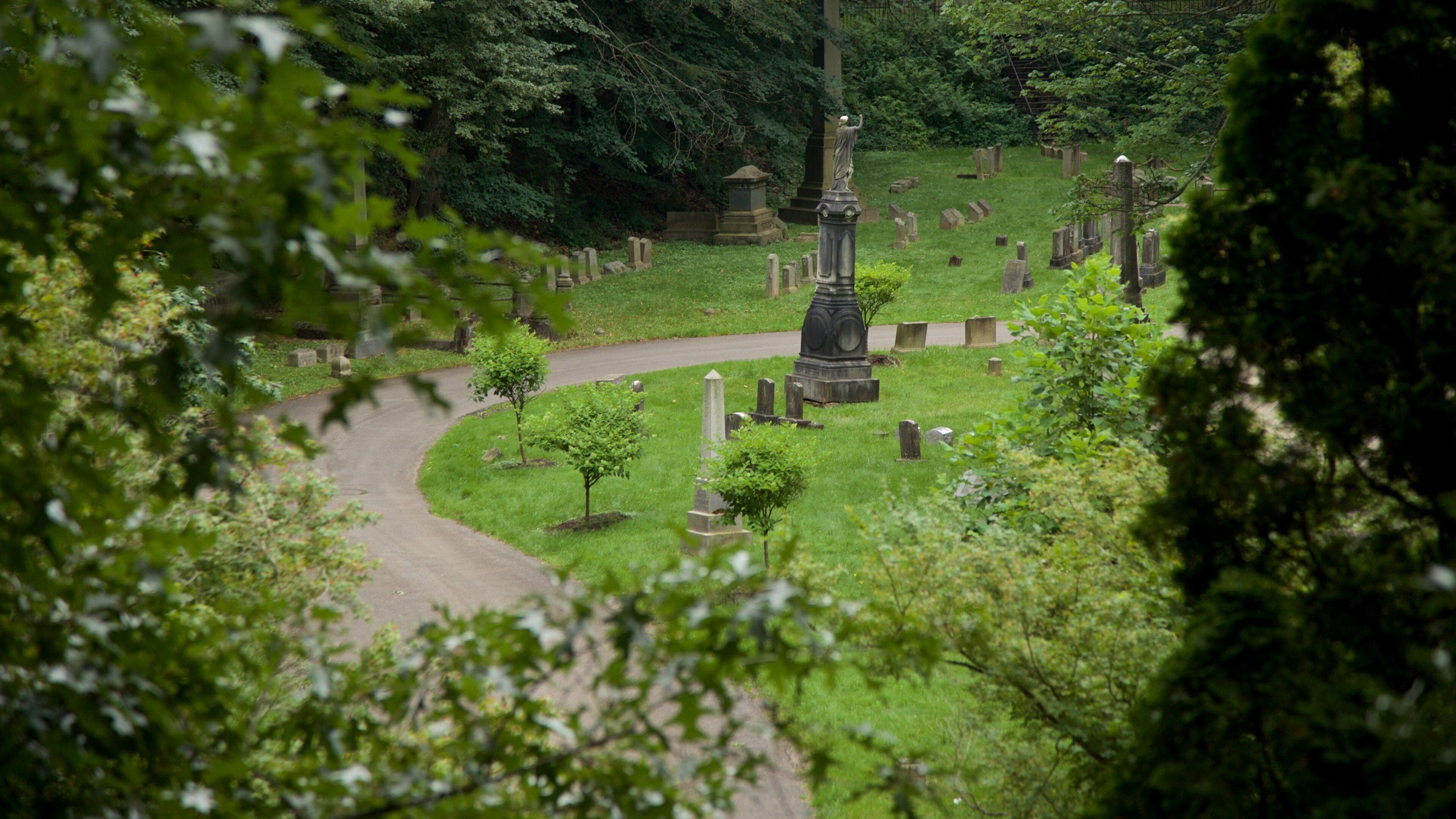 A cemetery with numerous gravestones and a central monument.