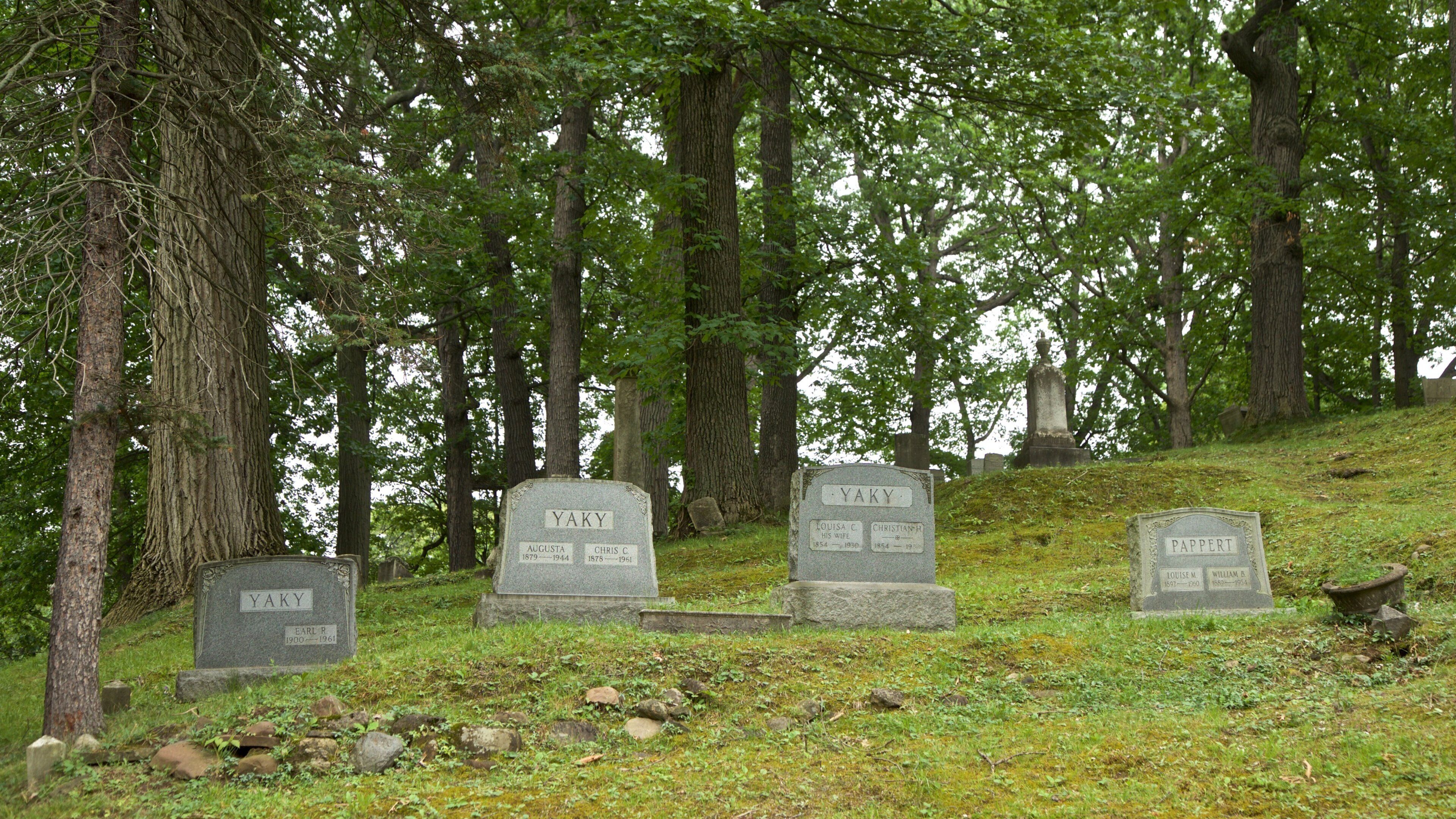 Mount Hope Cemetery showing a cemetery