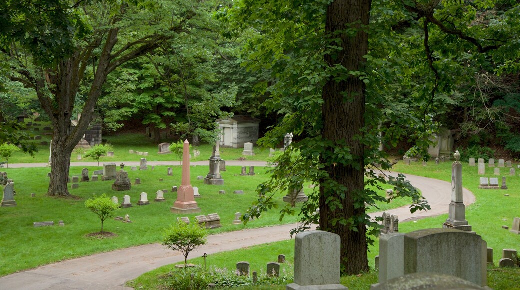 Mount Hope Cemetery featuring a cemetery
