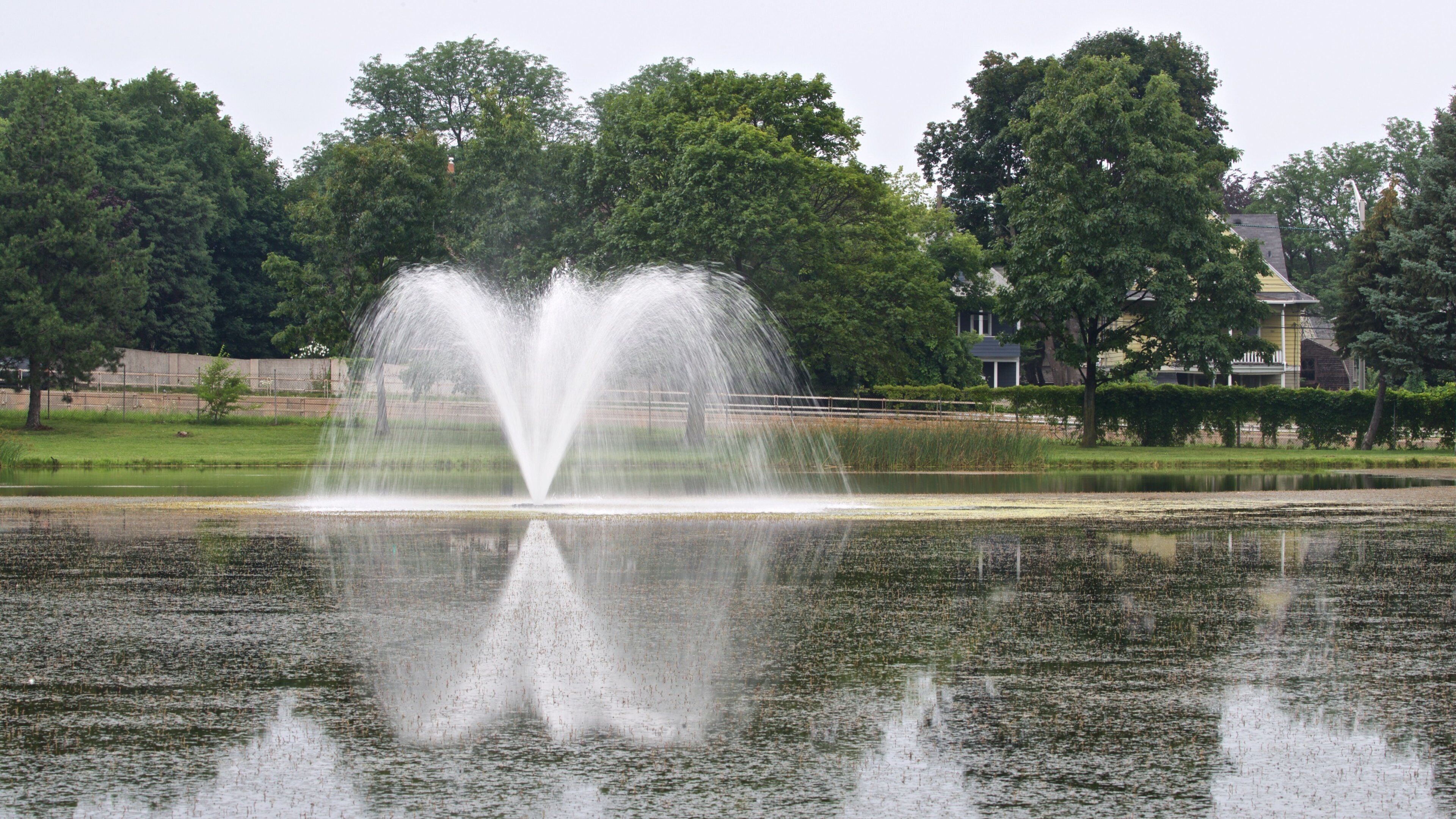 Cobbs Hill Park showing a garden and a fountain