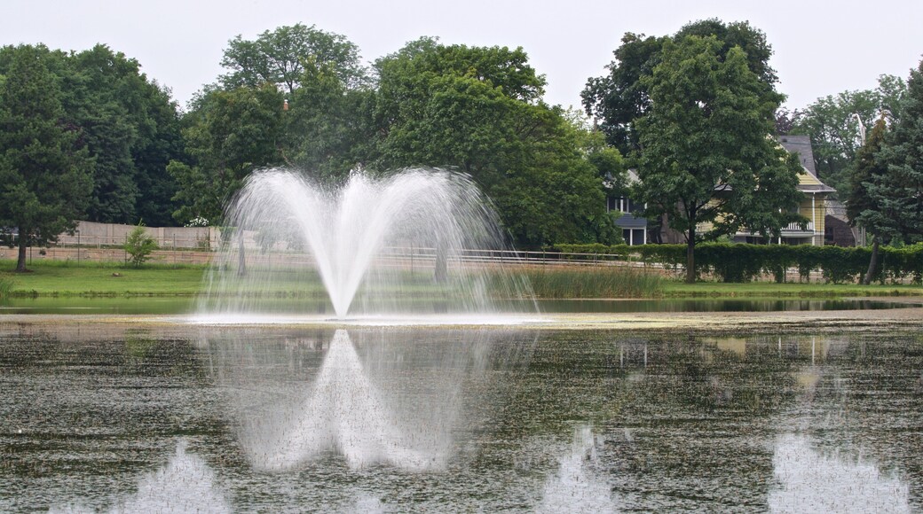 Cobbs Hill Park showing a garden and a fountain