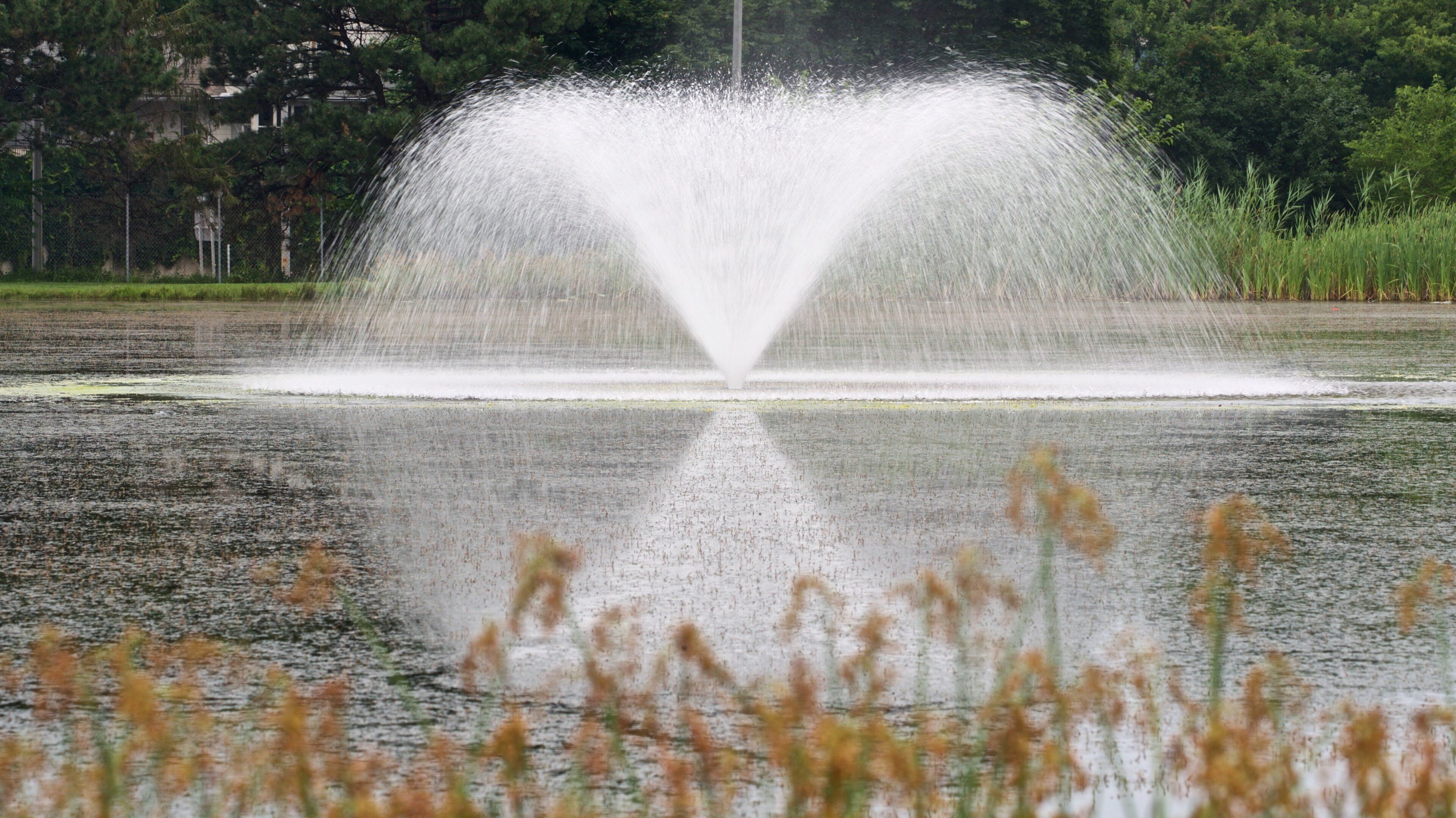Cobbs Hill Park which includes a fountain