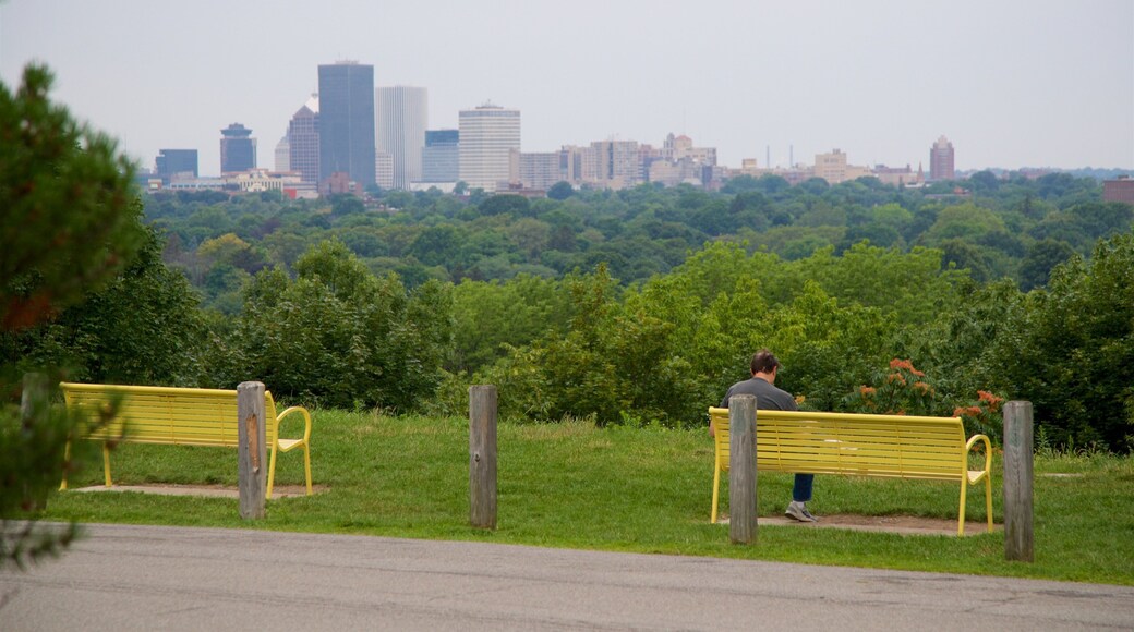 Cobbs Hill Park which includes a city, a garden and landscape views