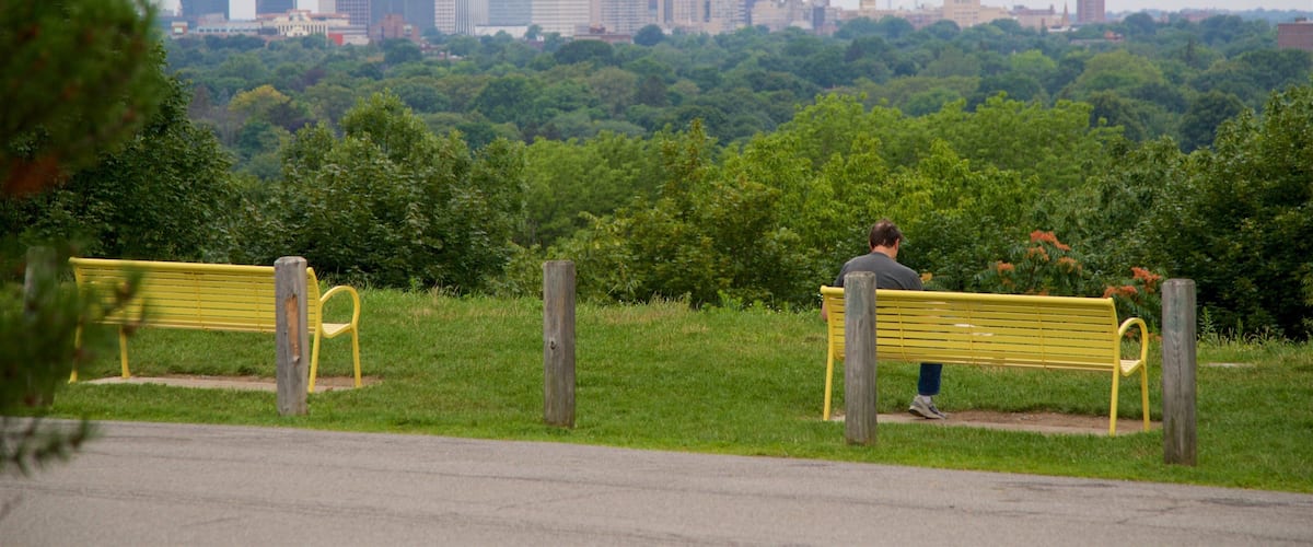 Cobbs Hill Park featuring a city, a garden and landscape views