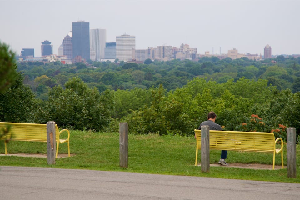 Un parc avec deux bancs jaunes et, en arrière-plan, la silhouette de la ville.