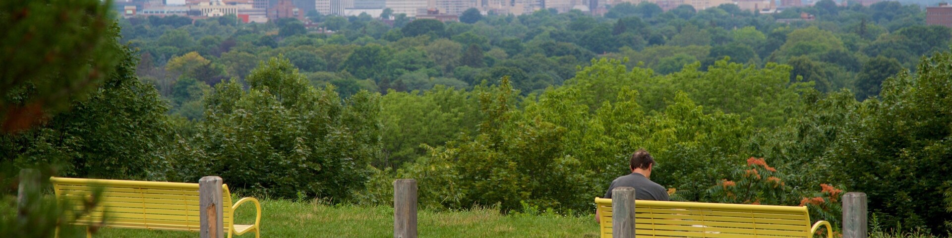 Cobbs Hill Park mostrando uma cidade, um jardim e paisagem