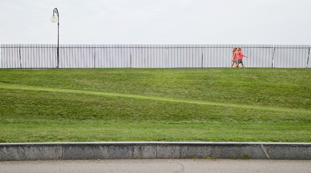 Cobbs Hill Park which includes hiking or walking and a park as well as a couple