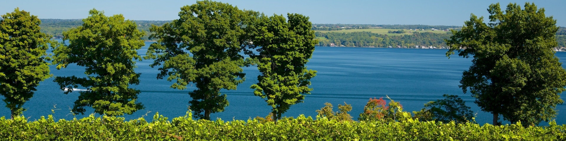 Seneca Falls which includes general coastal views and landscape views