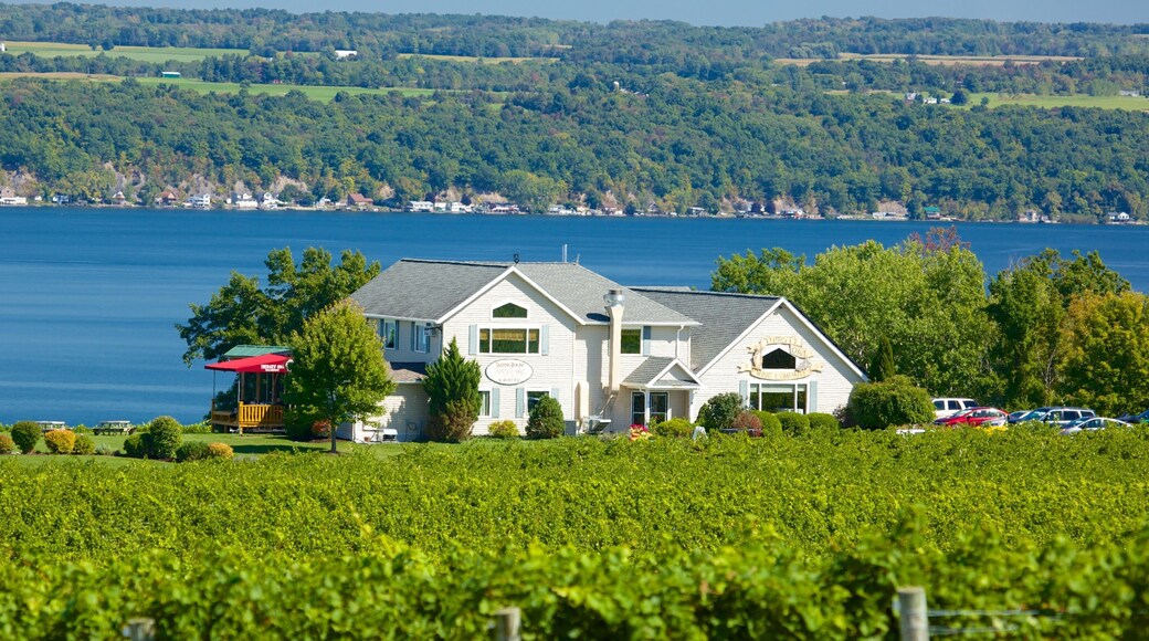 Seneca Falls montrant ville cĂŽtiĂšre et vues littorales