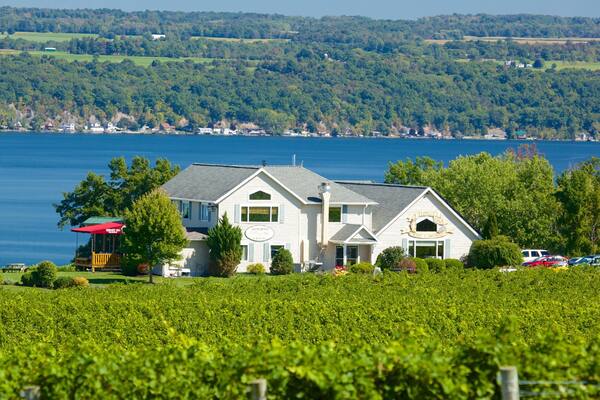 Seneca Falls showing general coastal views and a coastal town