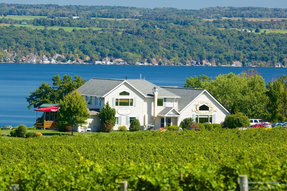 A vineyard with a white house and a lake in the background.