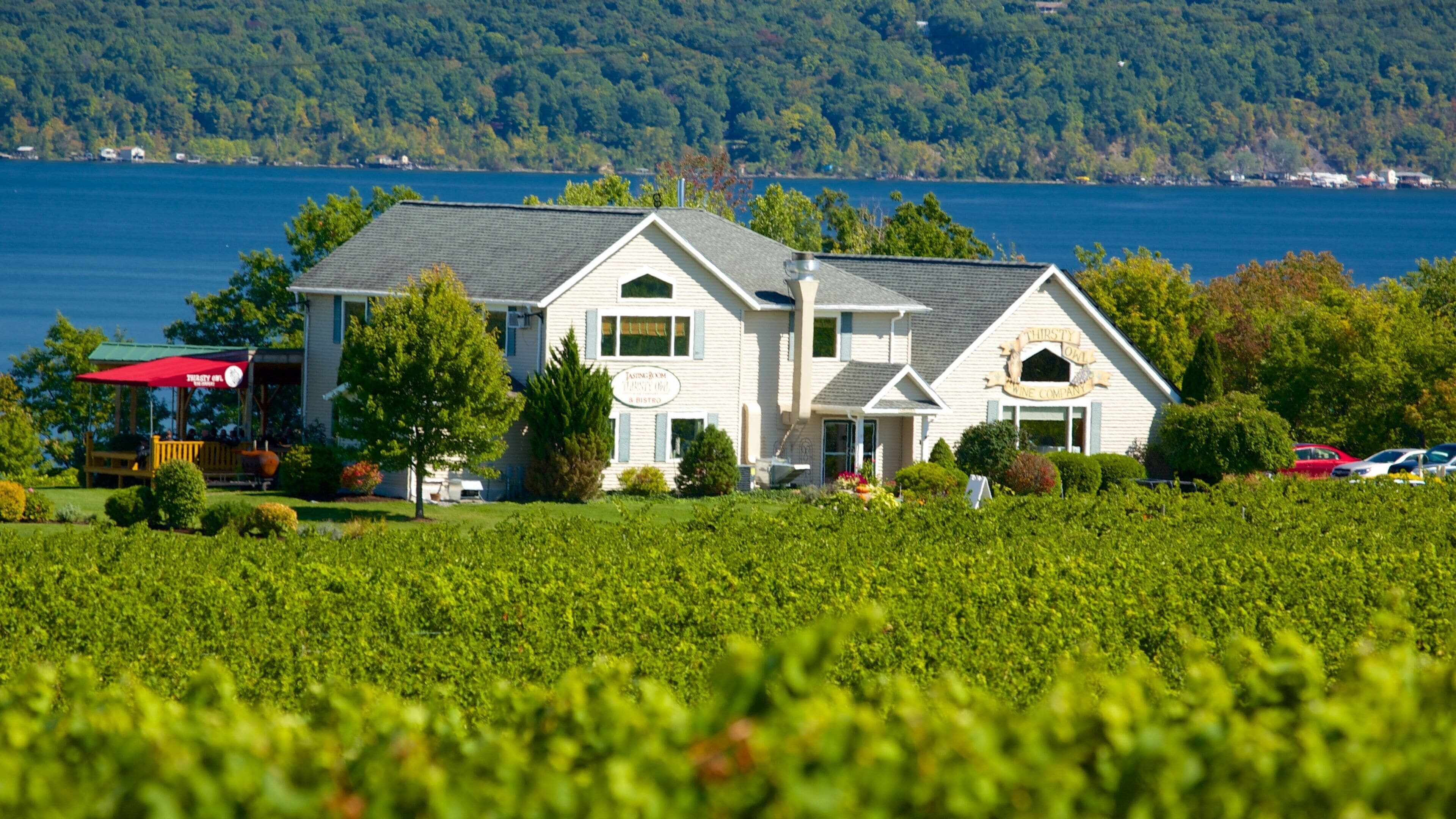 Seneca Falls qui includes ville côtière, vues littorales et maison