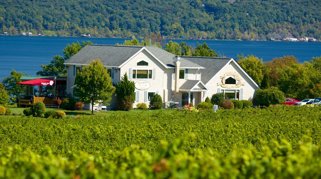 Seneca Falls qui includes ville cĂŽtiĂšre, vues littorales et maison
