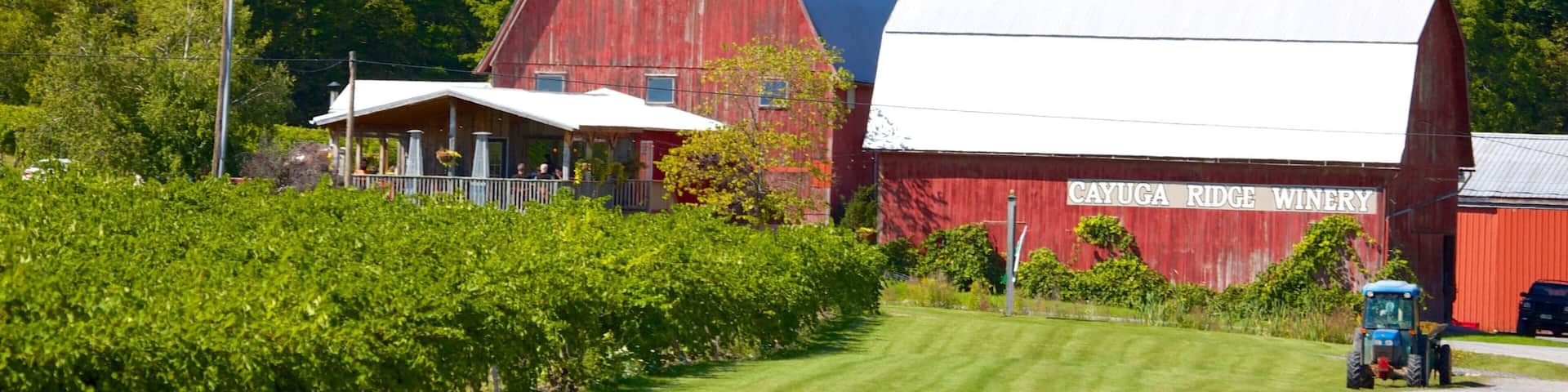 Seneca Falls which includes farmland