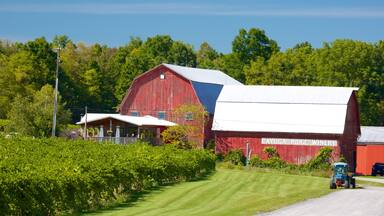 ์ธ๋ค์นด ํด์ค ์ด ํฌํจ ๋์ฅ