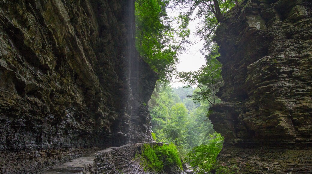 Watkins Glen State Park