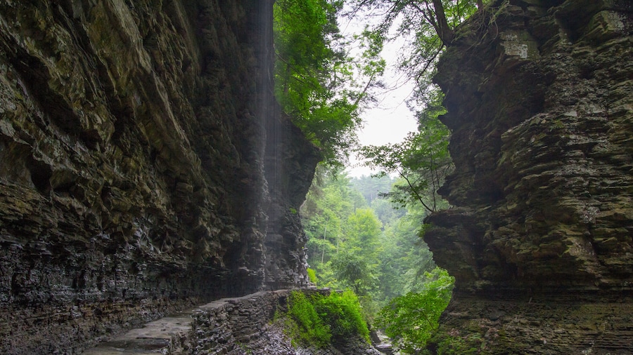 Watkins Glen State Park, New York