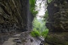 Watkins Glen State Park