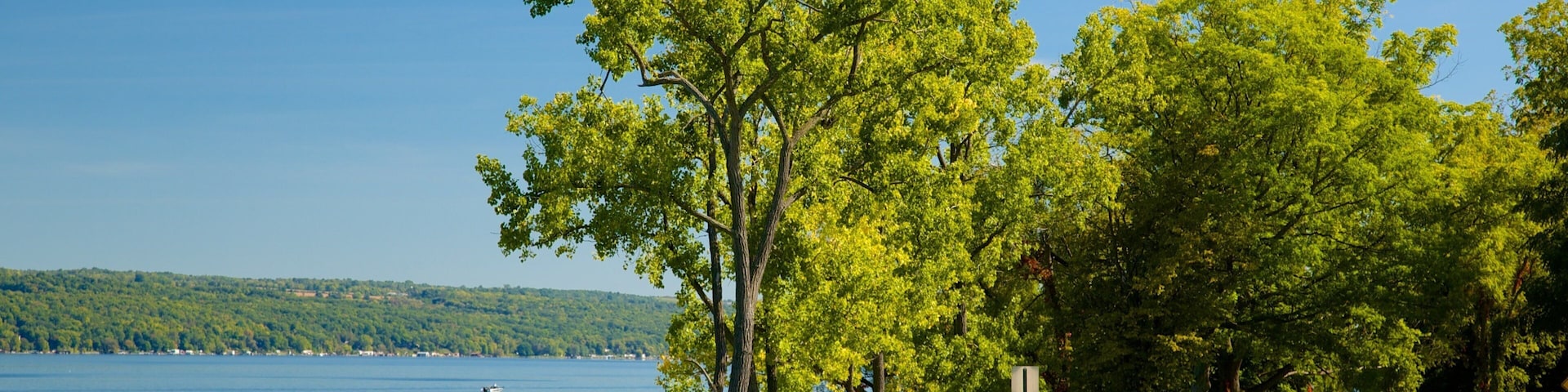 Seneca Falls mostrando um lago ou charco e uma cidade litorânea