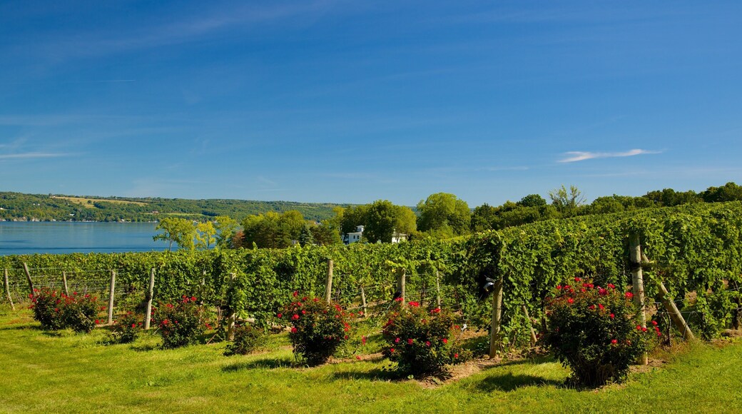 Seneca Falls which includes a lake or waterhole