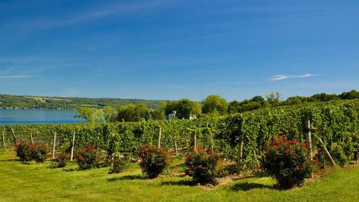 Seneca Falls showing a lake or waterhole
