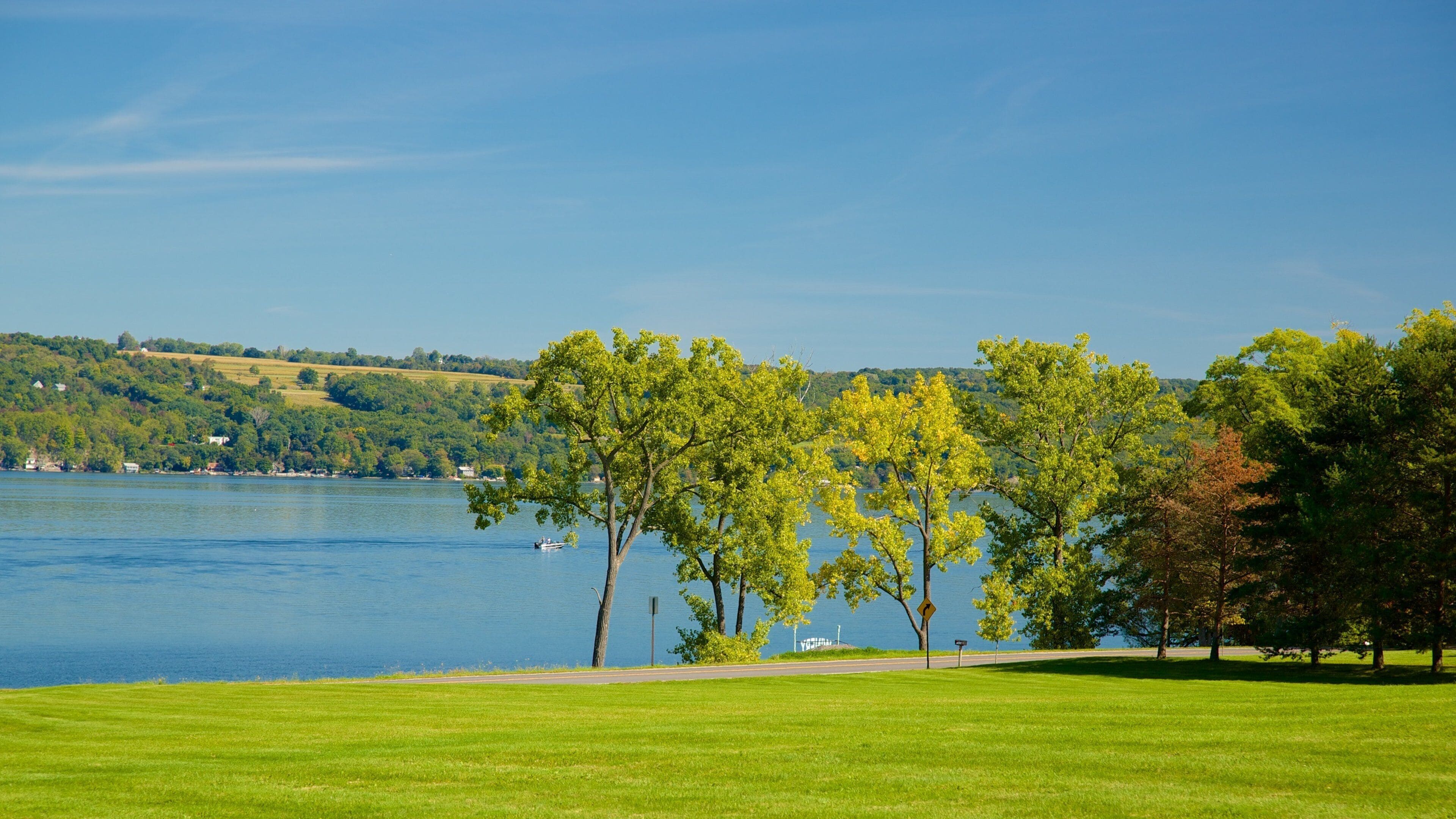 A lake with a grassy area and trees in the foreground.