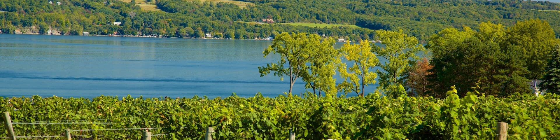 Seneca Falls which includes a lake or waterhole