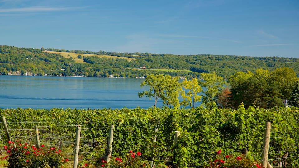 Seneca Falls mostrando un lago o laguna