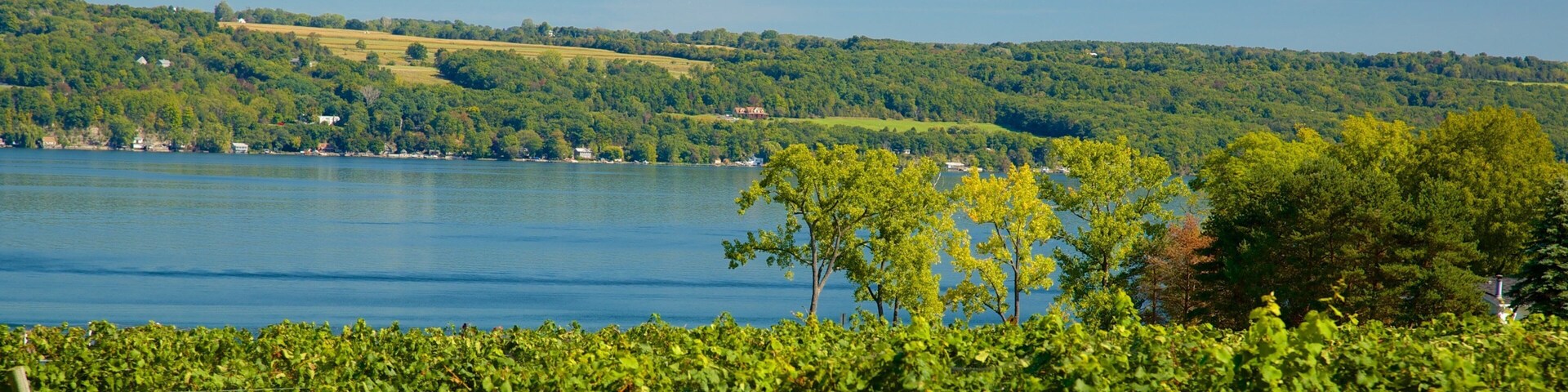 Seneca Falls which includes a lake or waterhole