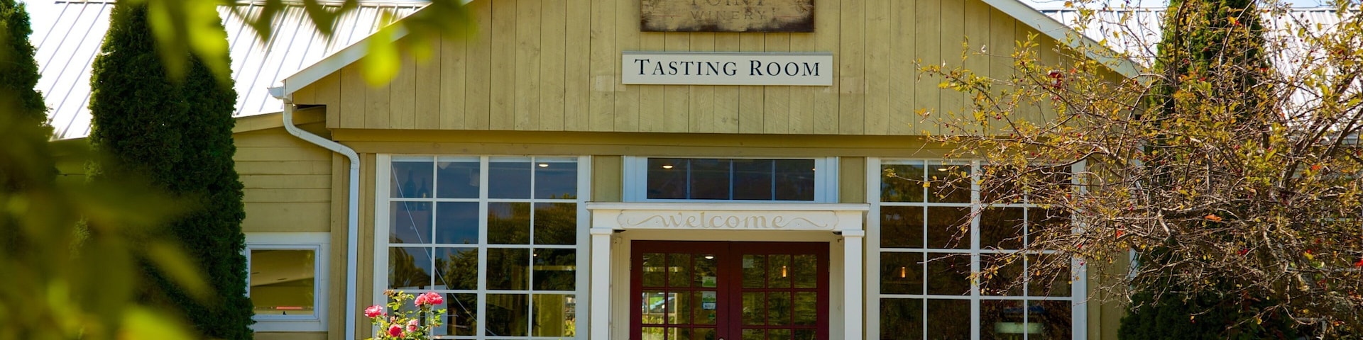 Seneca Falls featuring heritage architecture