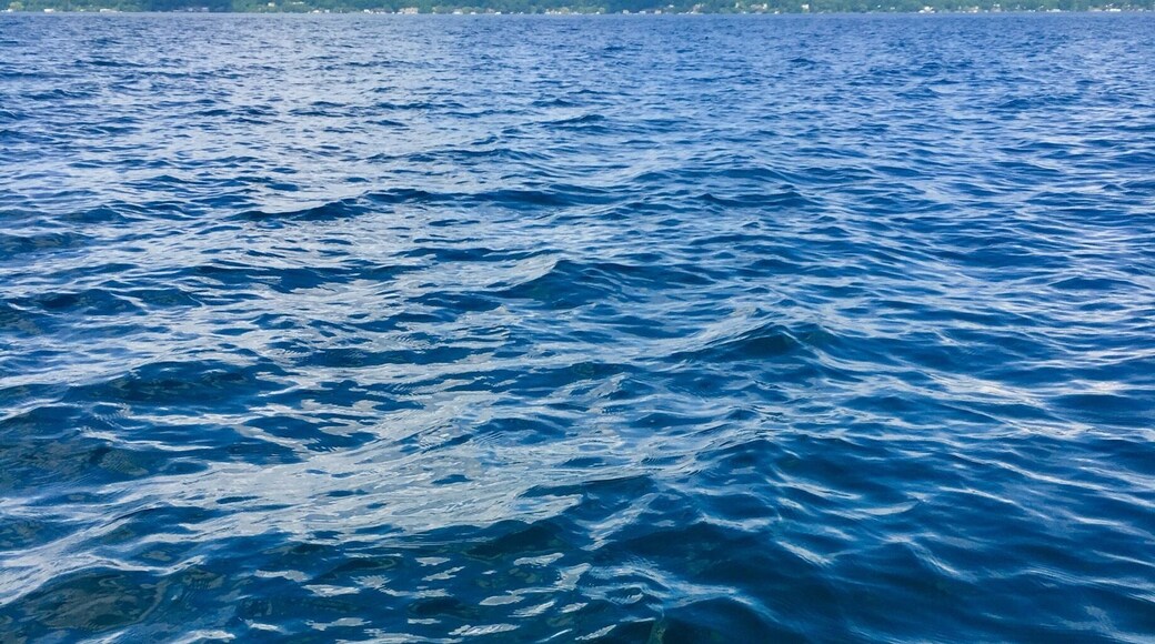 The gorgeous Cayuga Lake in NY’s Finger Lakes Region