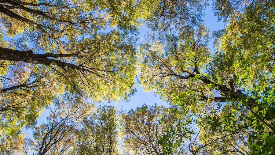 ビーチウッド州立公園