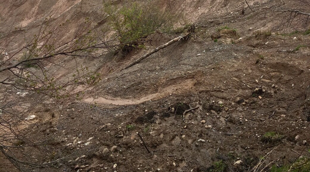 Nature made beauty #springfun