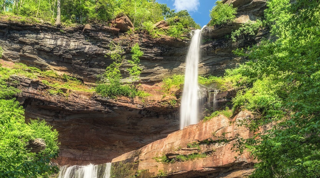 Kaaterskill Falls - one of the tallest double-tiered waterfalls in North America! If your in the Catskill Mountains and don't check this out shame on you!