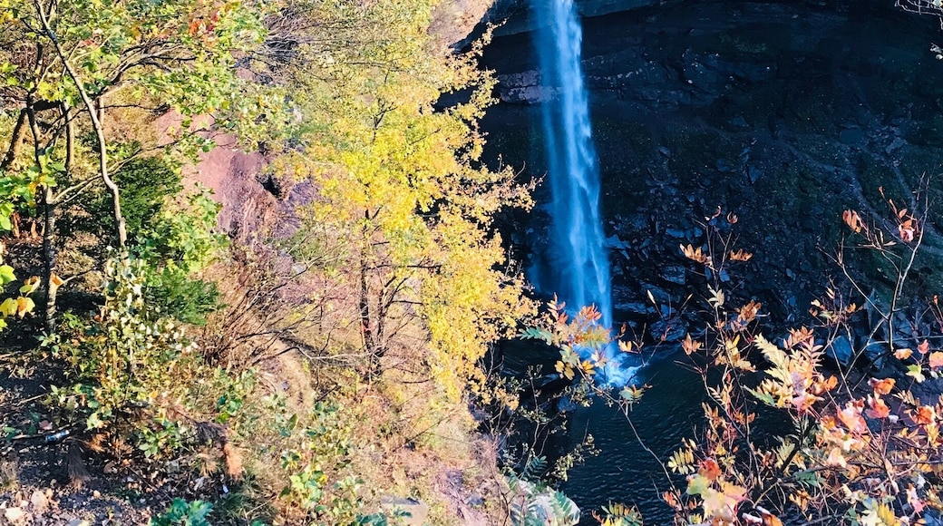 Kaaterskill Falls is two falls in one. There is a platform at the highest level for sight seeing! Located in the Catskills NY. This is a really nice hike that can be walked in a few hours.