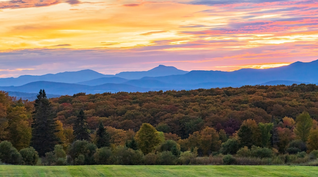 Un atardecer sobre una cadena montañosa cubierta de bosque.